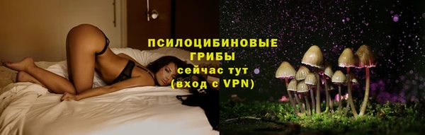 мдпв Нея