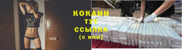 мдпв Нея
