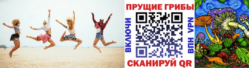 купить   Арск  Галлюциногенные грибы GOLDEN TEACHER 